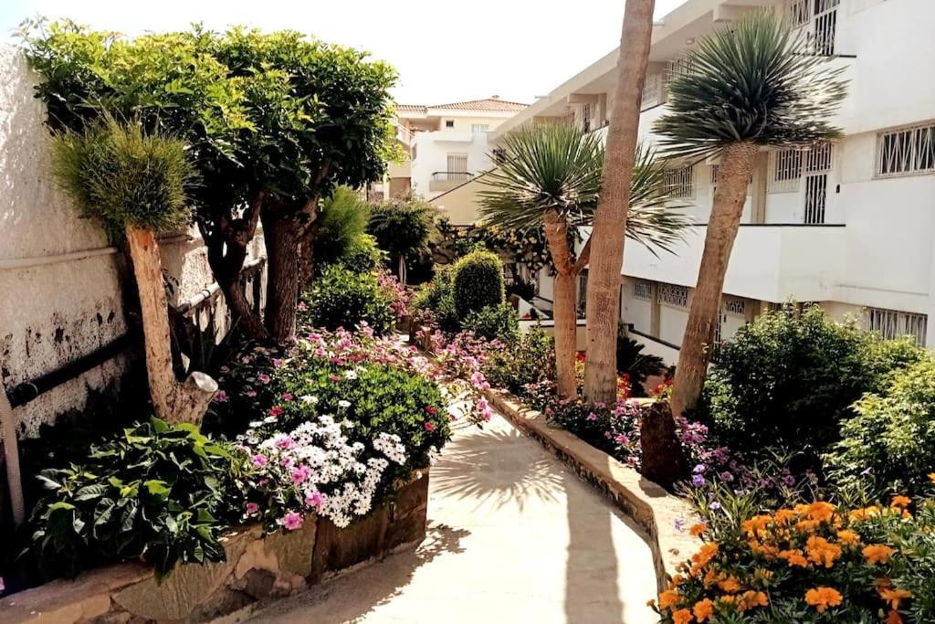 Apartment With Large Terrace, 10 Meters From Playa De Las Burras San Bartolomé Dış mekan fotoğraf